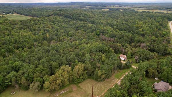 25.45 ACRES COUNTY ROAD DG, COLFAX, WI 54730 - Image 1