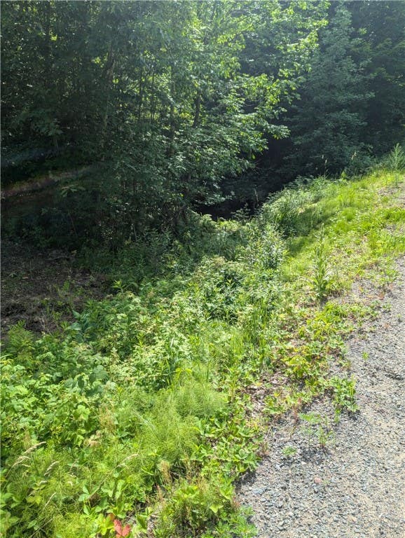 LOT 1 165TH Ave  