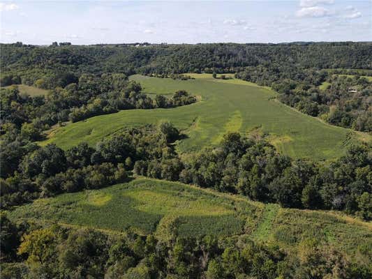 TBD BOGUS ROAD, PEPIN, WI 54769, photo 3 of 40