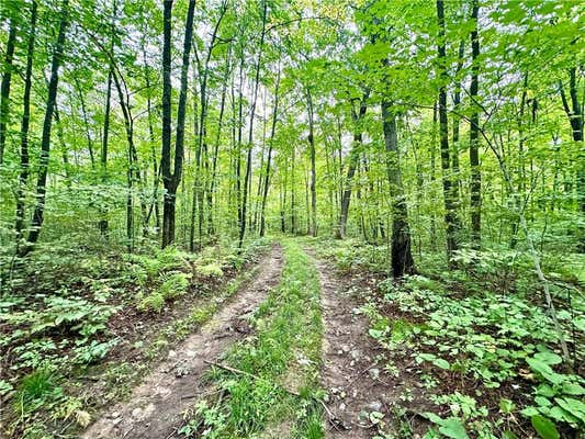 0 (5 ACRES) 24TH AVENUE, RICE LAKE, WI 54868, photo 2 of 40