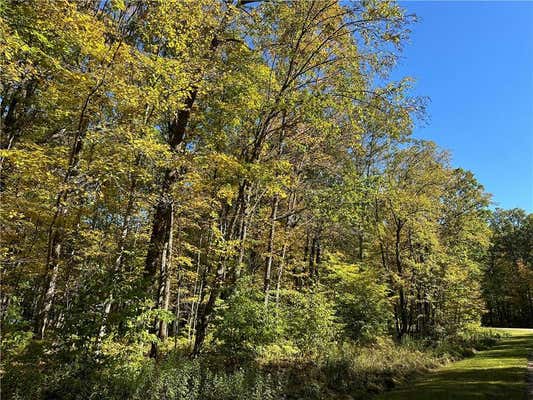 LOT 3 26 7/16 AVENUE, BIRCHWOOD, WI 54817 - Image 1