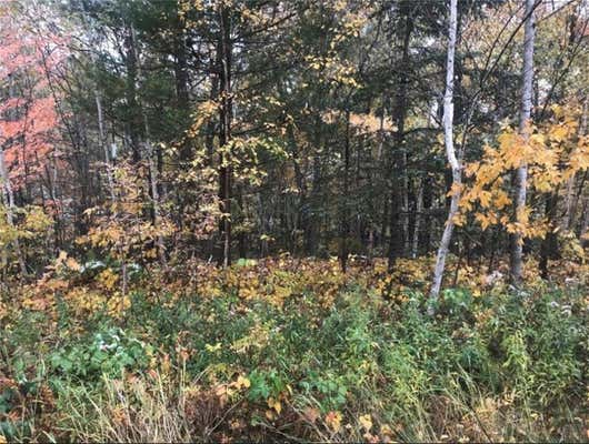 LOT 113 162ND AVE, AMERY, WI 54810 - Image 1