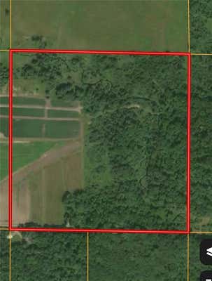 0000 COUNTY RD. B, MARSHFIELD, WI 54449 - Image 1