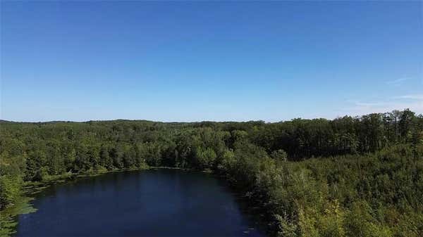 4 COUNTY HIGHWAY T, BIRCHWOOD, WI 54817 - Image 1