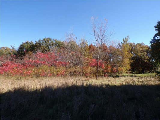 LOT 2 187TH STREET, CHIPPEWA FALLS, WI 54729 - Image 1