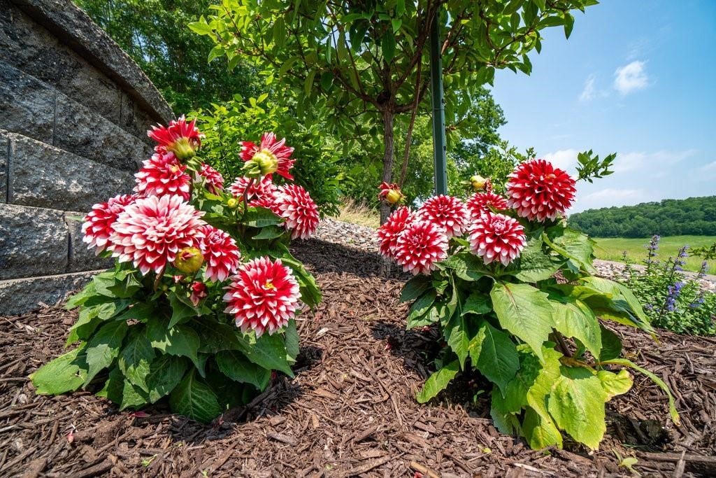 Menomonie, Wisconsin, 54751, United States, 2 Bedrooms Bedrooms, ,3 BathroomsBathrooms,Residential,Active,1942349