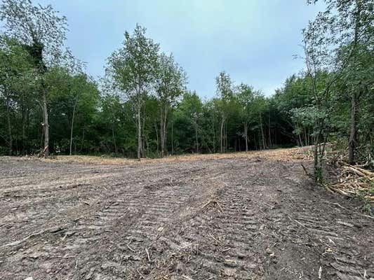 LOT 10 776TH AVENUE, SPRING VALLEY, WI 54767, photo 4 of 9