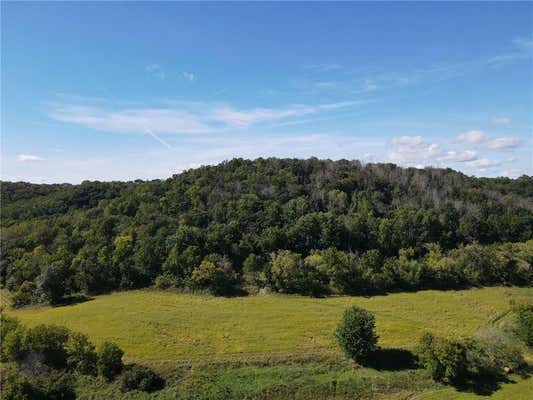 TBD BOGUS ROAD, PEPIN, WI 54769, photo 2 of 40