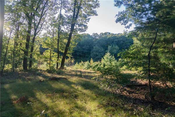 LOT 2 CSM 3366 HIGHWAY 37, EAU CLAIRE, WI 54701 - Image 1