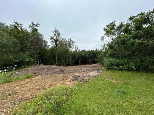 LOT 10 776TH AVENUE, SPRING VALLEY, WI 54767, photo 3 of 9