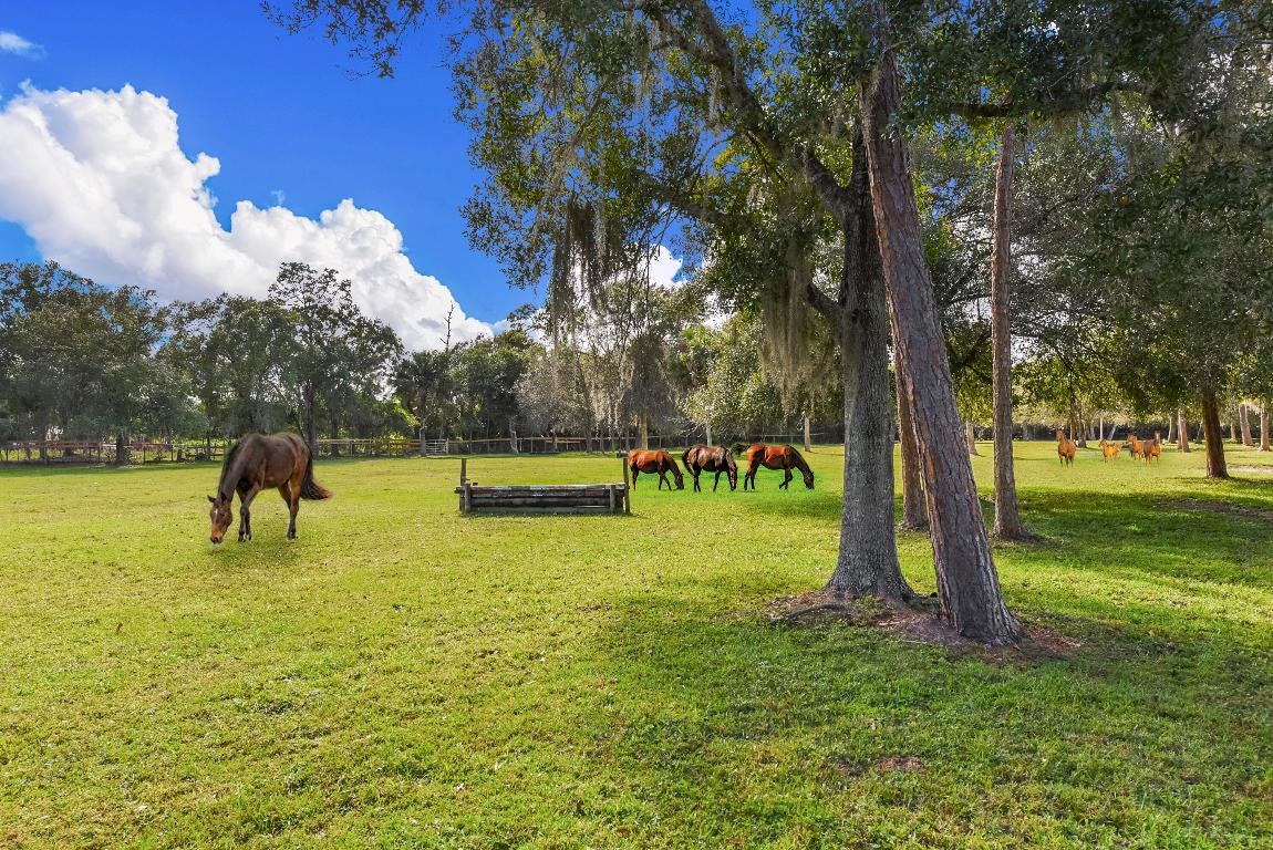 Palm City, Florida, 34990, United States, 5 Bedrooms Bedrooms, ,5 BathroomsBathrooms,Residential,Active,2007632