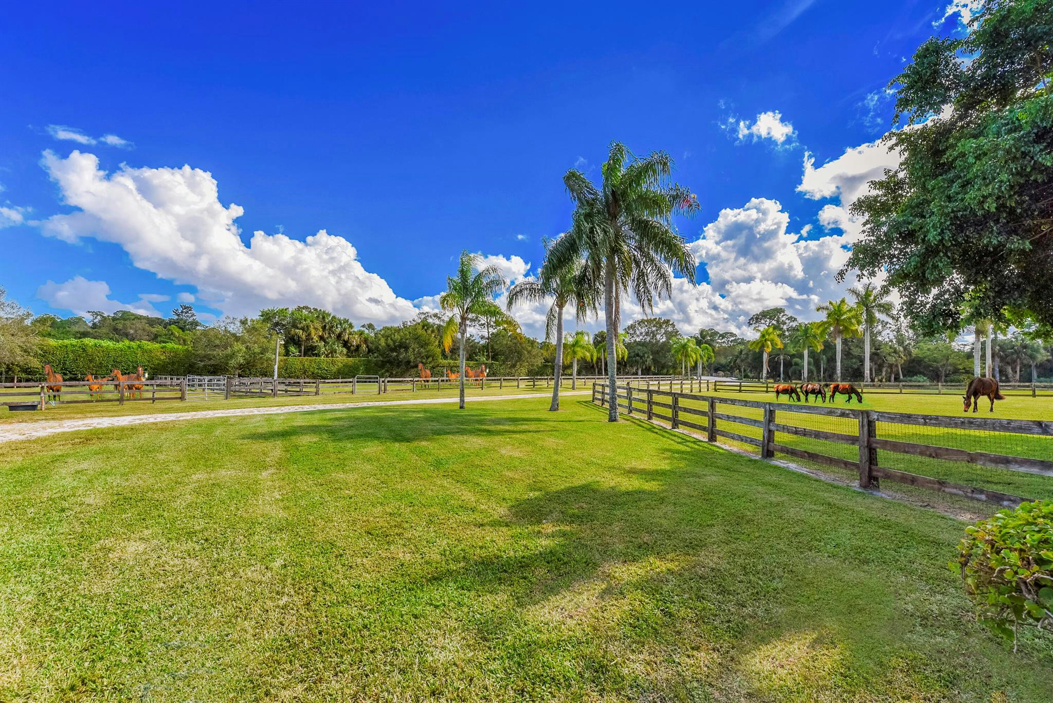 Palm City, Florida, 34990, United States, ,5 BathroomsBathrooms,Residential,Active,1769903