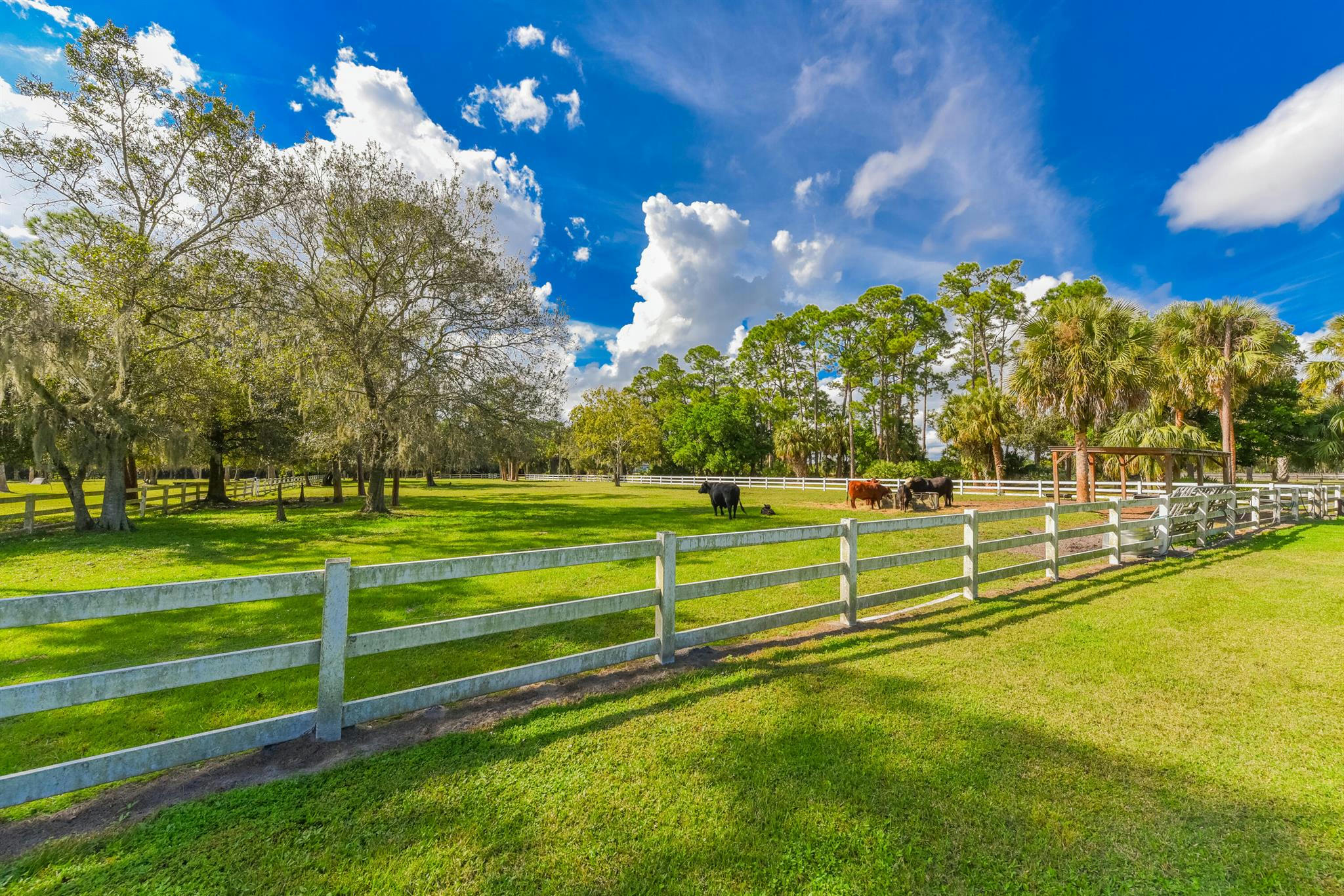 Palm City, Florida, 34990, United States, ,5 BathroomsBathrooms,Residential,Active,1769903