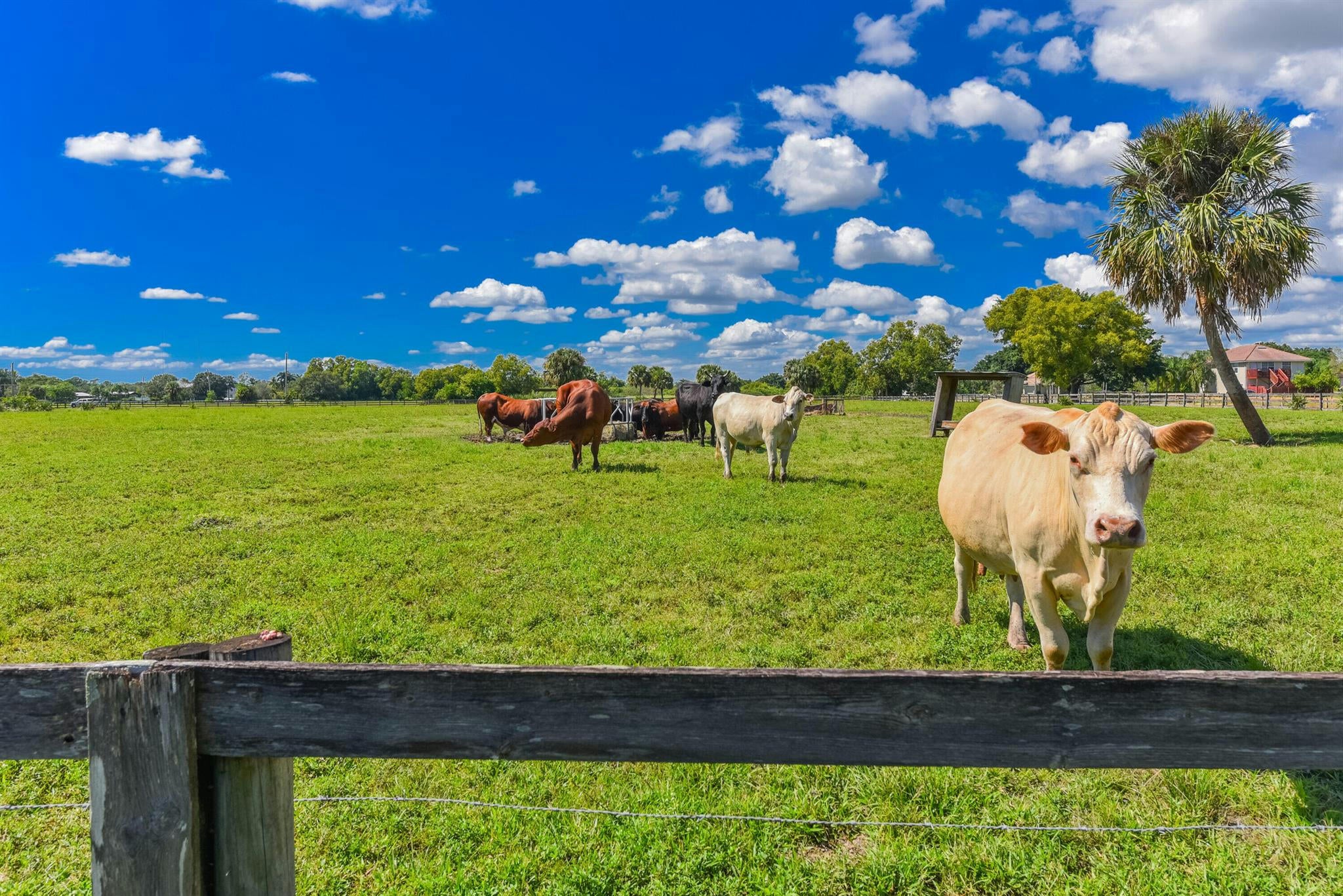 Palm City, Florida, 34990, United States, ,5 BathroomsBathrooms,Residential,Active,1769903