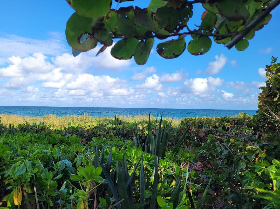 Deerfield Beach, Florida, 33441, United States, 3 Bedrooms Bedrooms, ,3 BathroomsBathrooms,Residential,Active,1909092