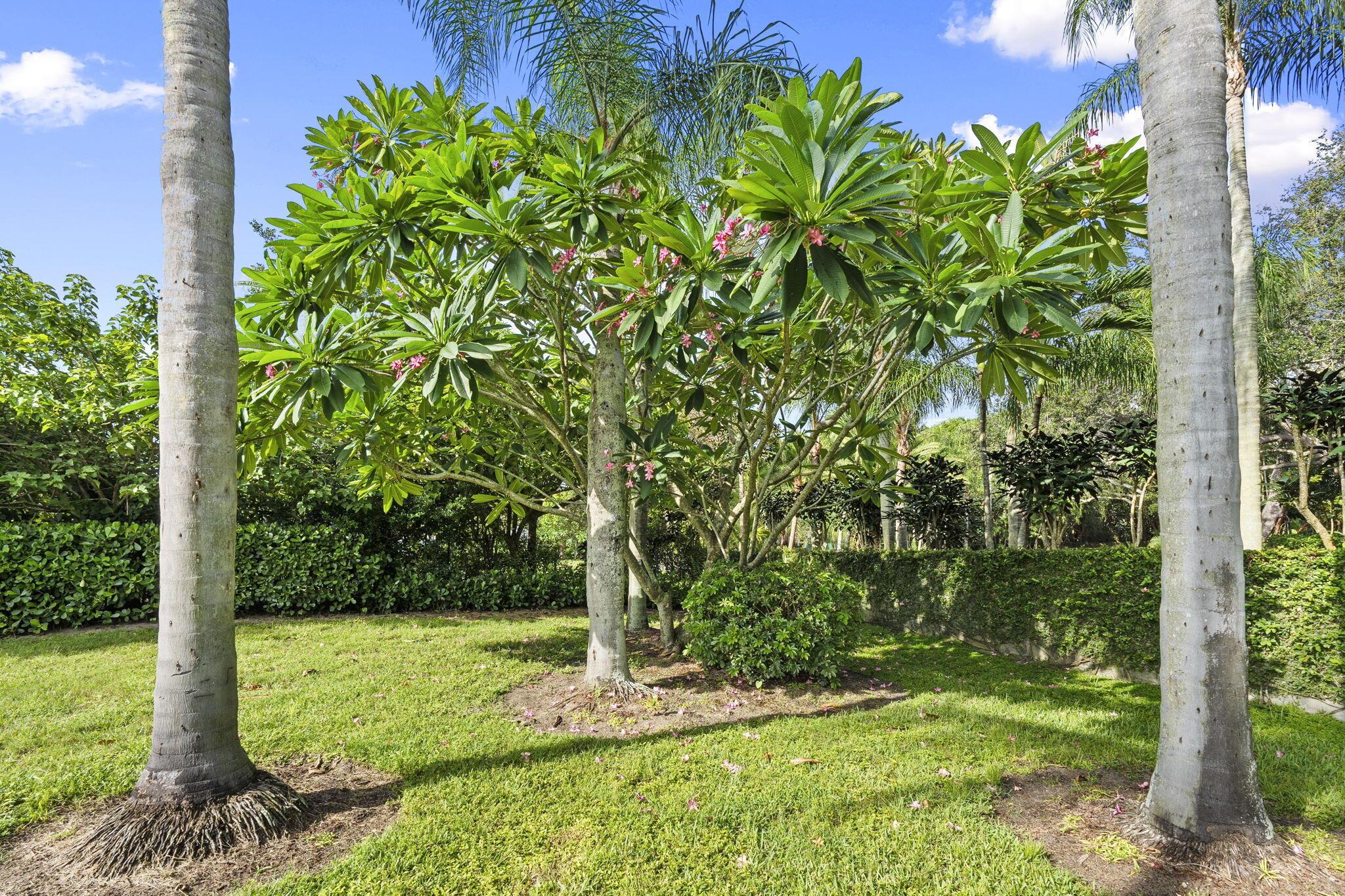 Jensen Beach, Florida, 34957, United States, 4 Bedrooms Bedrooms, ,5 BathroomsBathrooms,Residential,Active,1945060