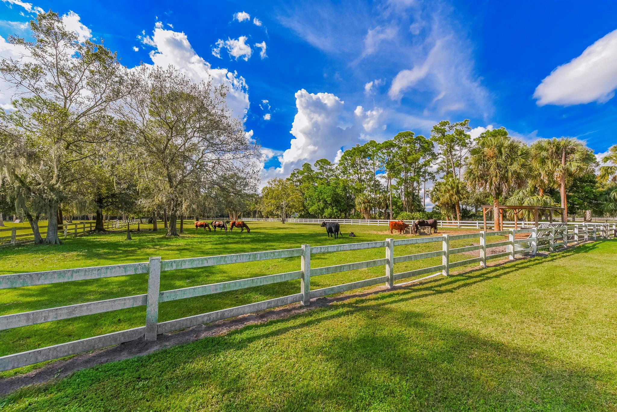 Palm City, Florida, 34990, United States, ,5 BathroomsBathrooms,Residential,Active,1769903