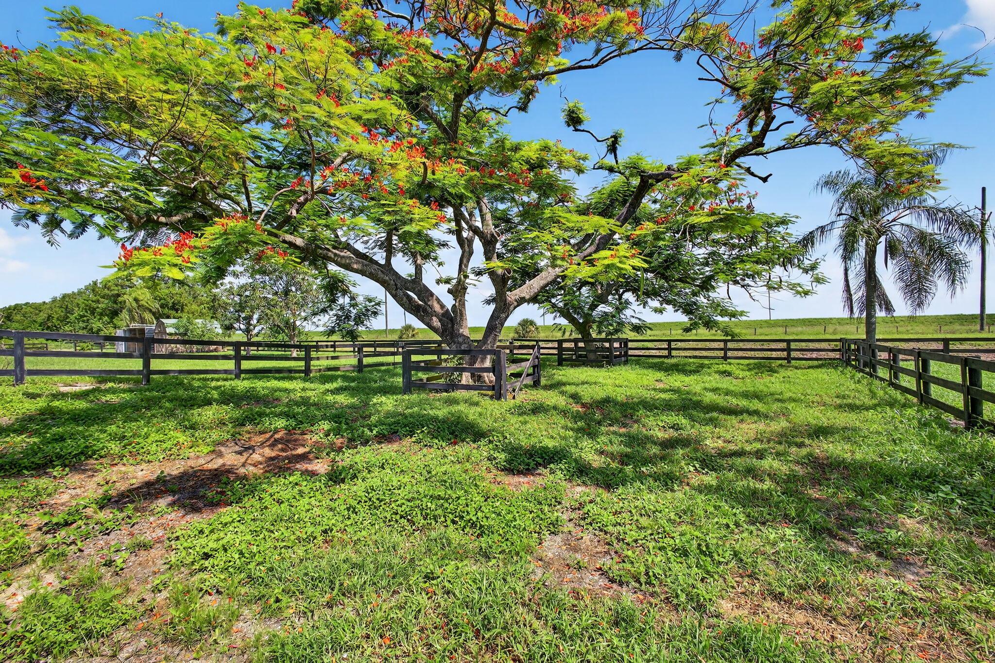 Wellington, Florida, 33470, United States, ,3 BathroomsBathrooms,Residential,Active,1894786