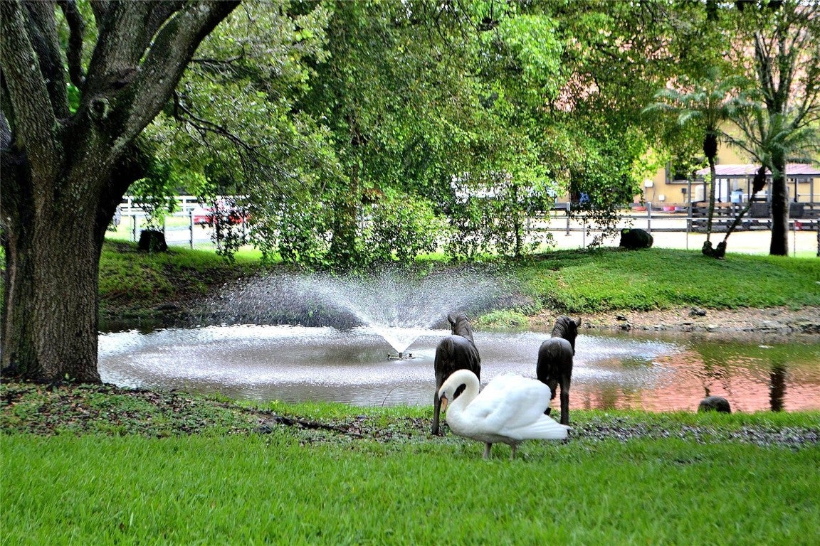 Southwest Ranches, Florida, 33331, United States, 6 Bedrooms Bedrooms, ,6 BathroomsBathrooms,Residential,Active,2008321