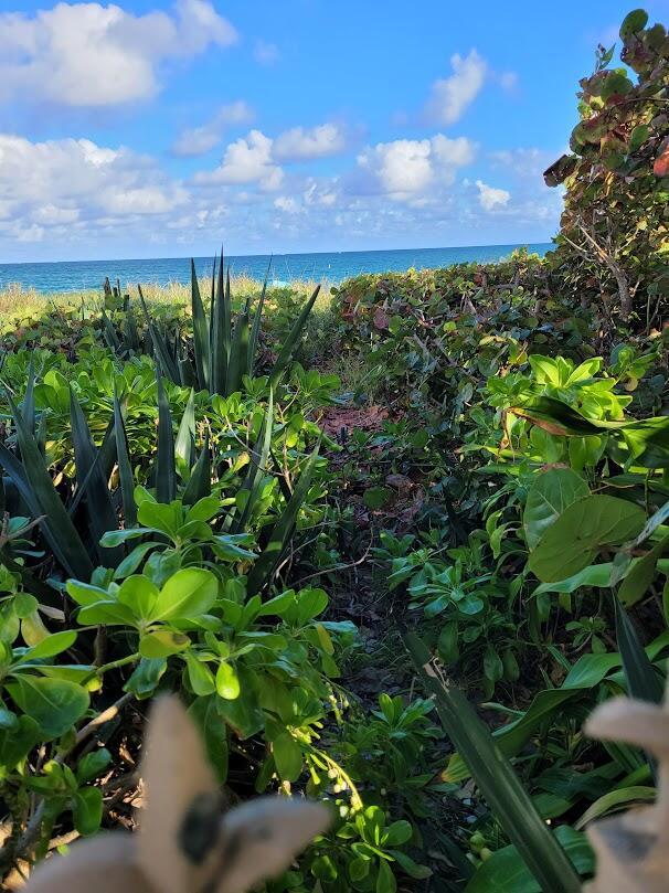 Deerfield Beach, Florida, 33441, United States, 3 Bedrooms Bedrooms, ,3 BathroomsBathrooms,Residential,Active,1909092