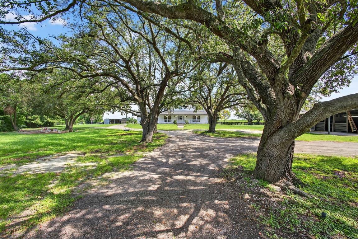 Wellington, Florida, 33470, United States, 4 Bedrooms Bedrooms, ,3 BathroomsBathrooms,Residential,Active,2008727