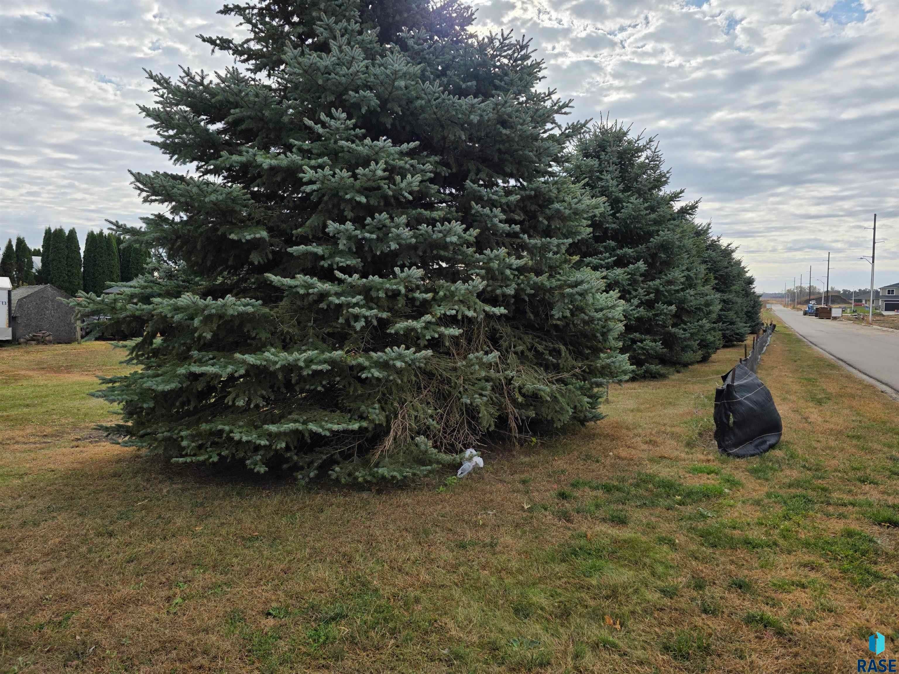 Brandon, South Dakota, 57005, United States, 3 Bedrooms Bedrooms, ,3 BathroomsBathrooms,Residential,Active,1969629