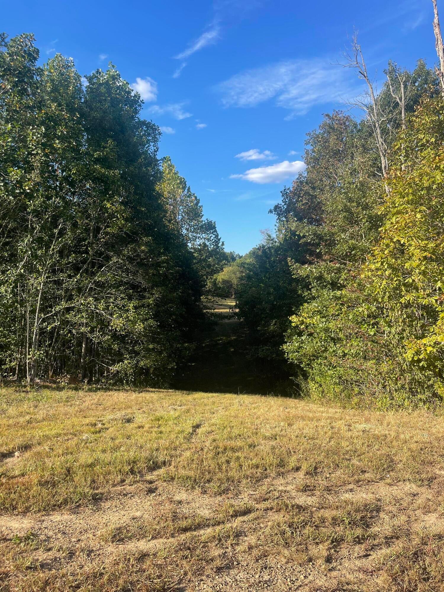 Calhoun, Tennessee, 37309, United States, 4 Bedrooms Bedrooms, ,3 BathroomsBathrooms,Residential,Active,1742062