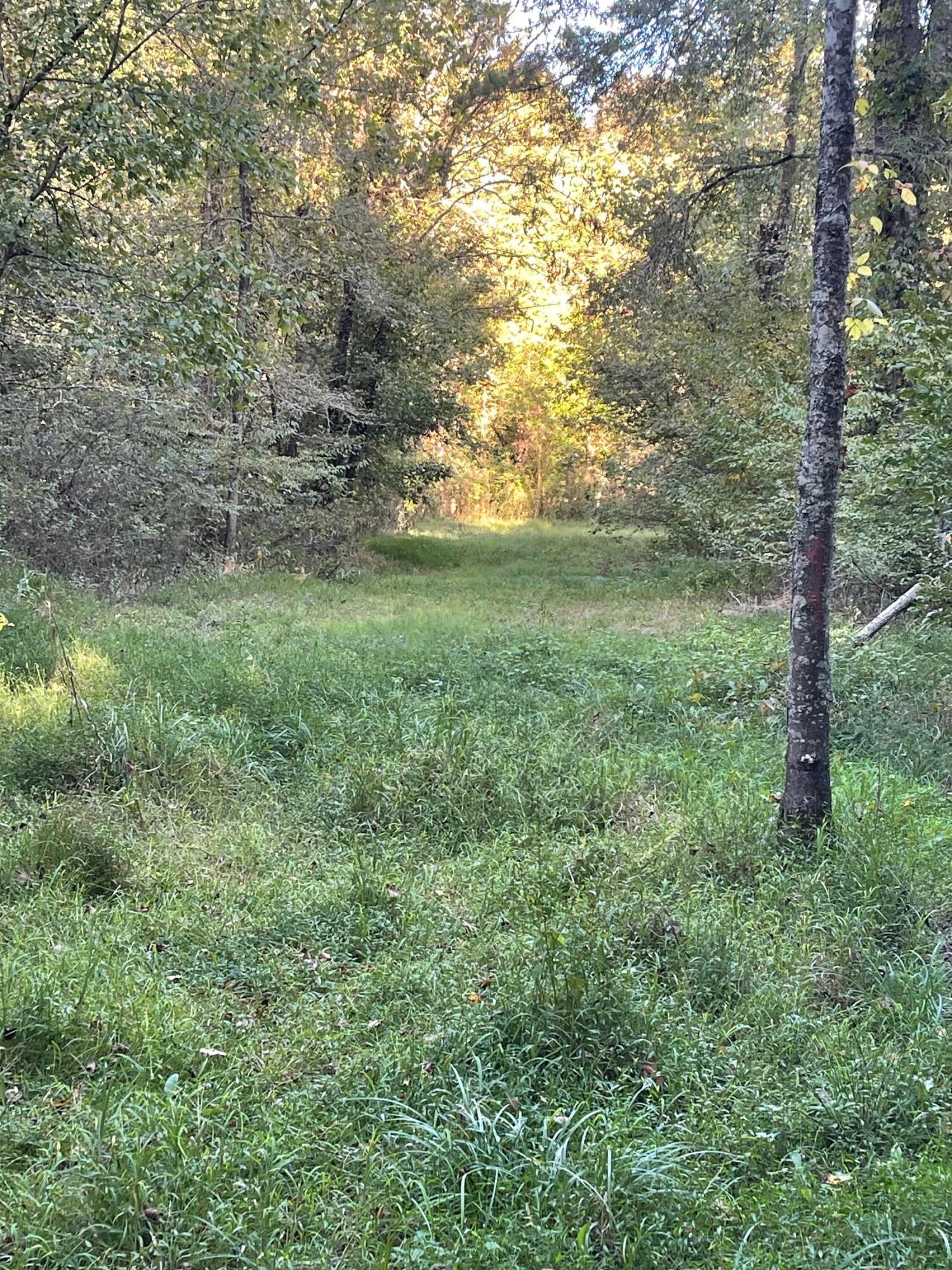 Calhoun, Tennessee, 37309, United States, 4 Bedrooms Bedrooms, ,3 BathroomsBathrooms,Residential,Active,1742062