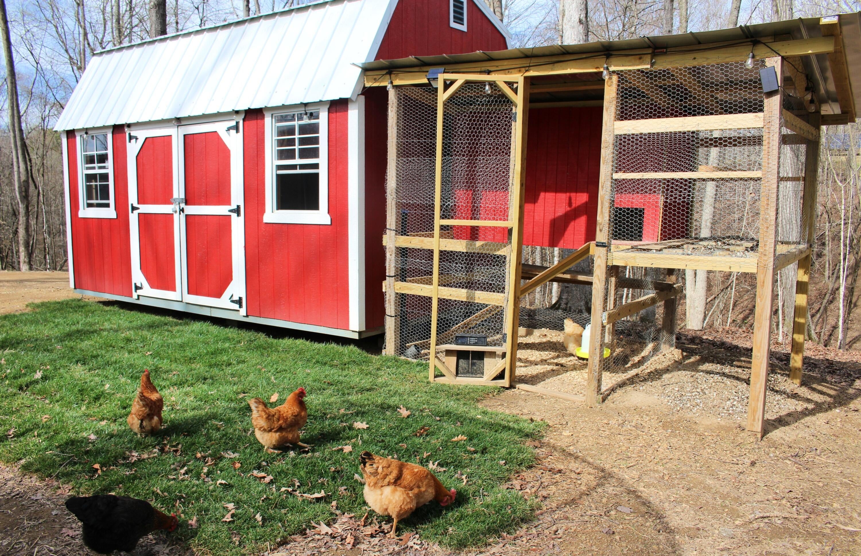 Calhoun, Tennessee, 37309, United States, 4 Bedrooms Bedrooms, ,3 BathroomsBathrooms,Residential,Active,1742062