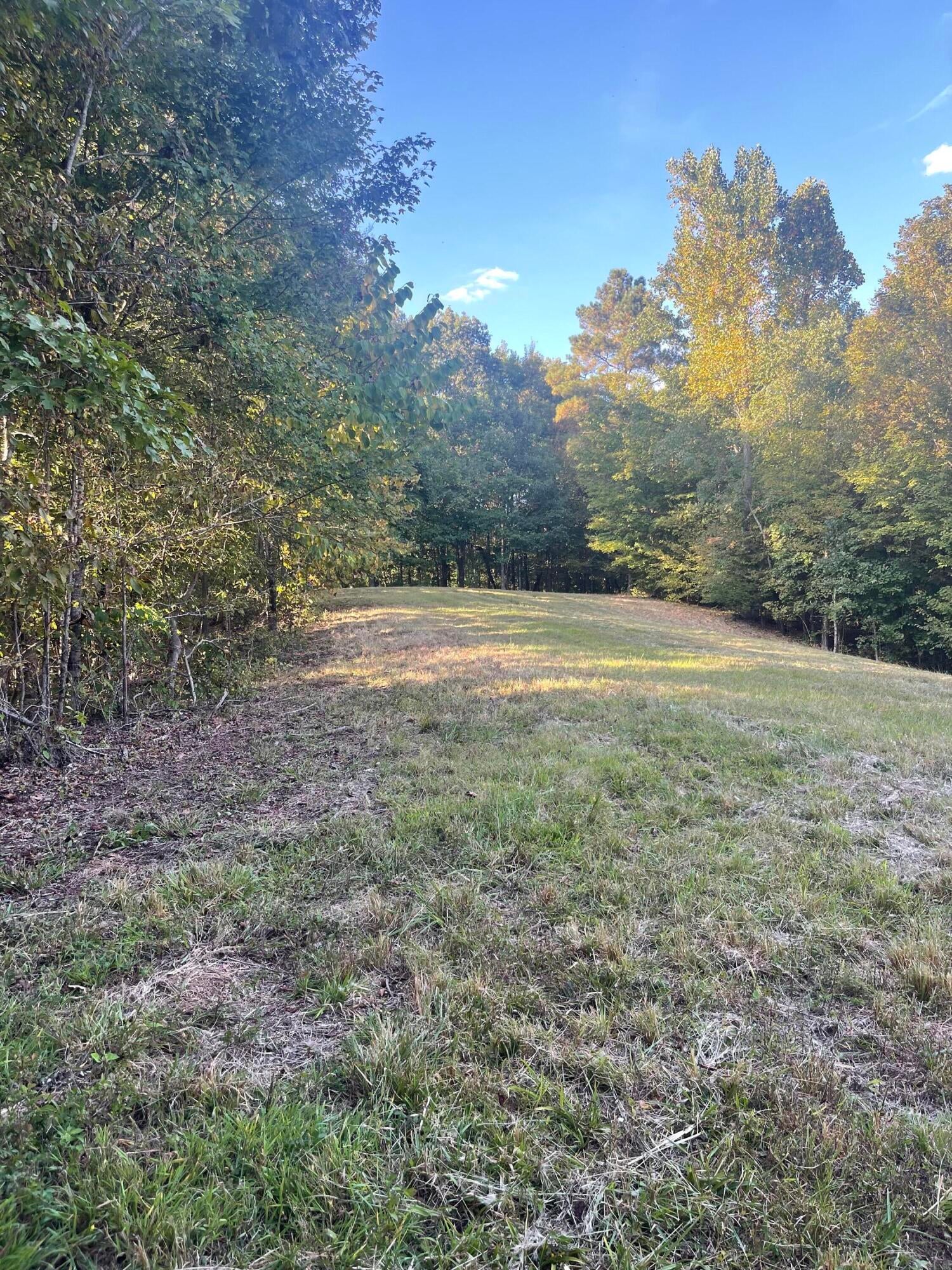 Calhoun, Tennessee, 37309, United States, 4 Bedrooms Bedrooms, ,3 BathroomsBathrooms,Residential,Active,1742062