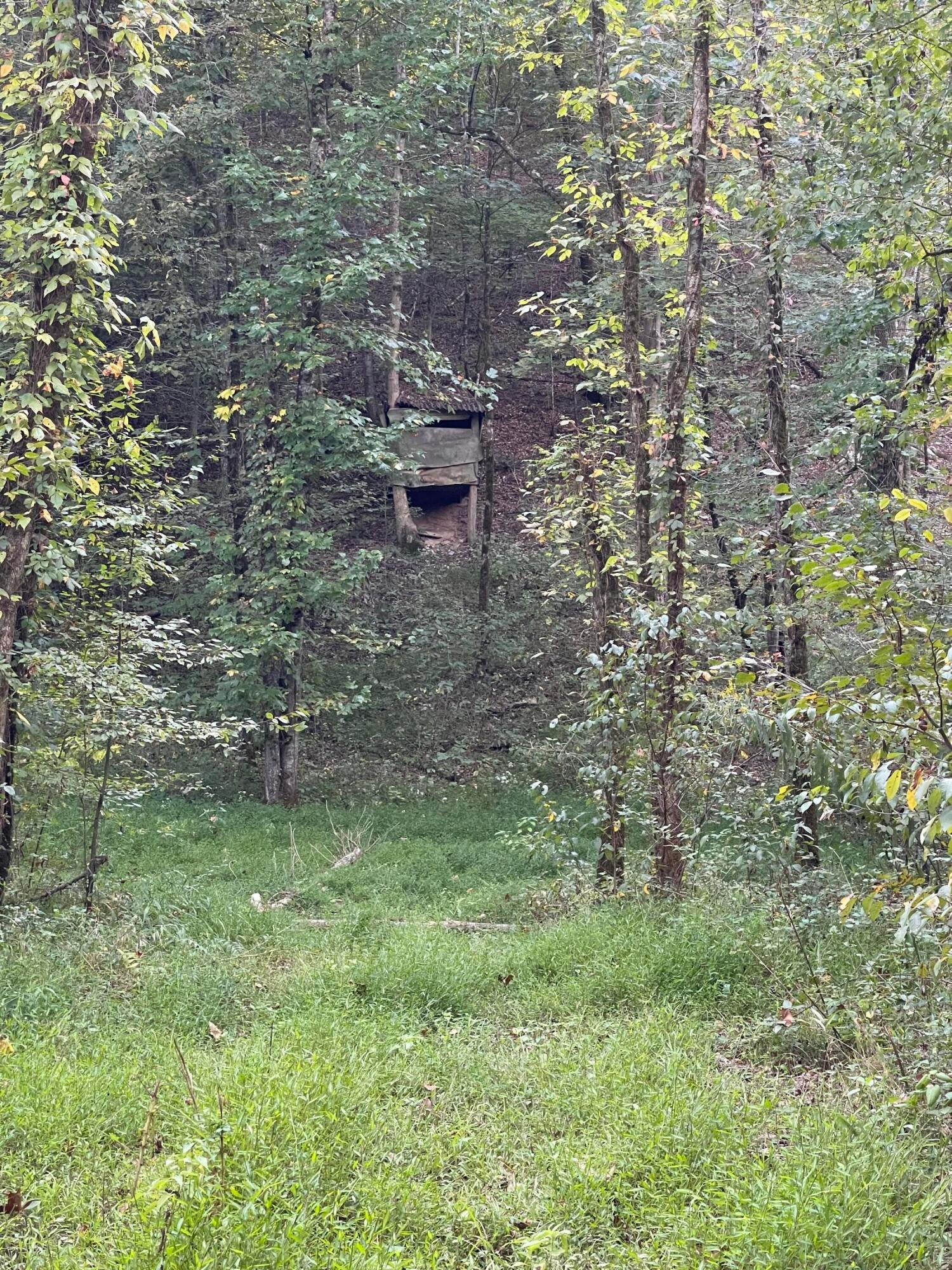 Calhoun, Tennessee, 37309, United States, 4 Bedrooms Bedrooms, ,3 BathroomsBathrooms,Residential,Active,1742062