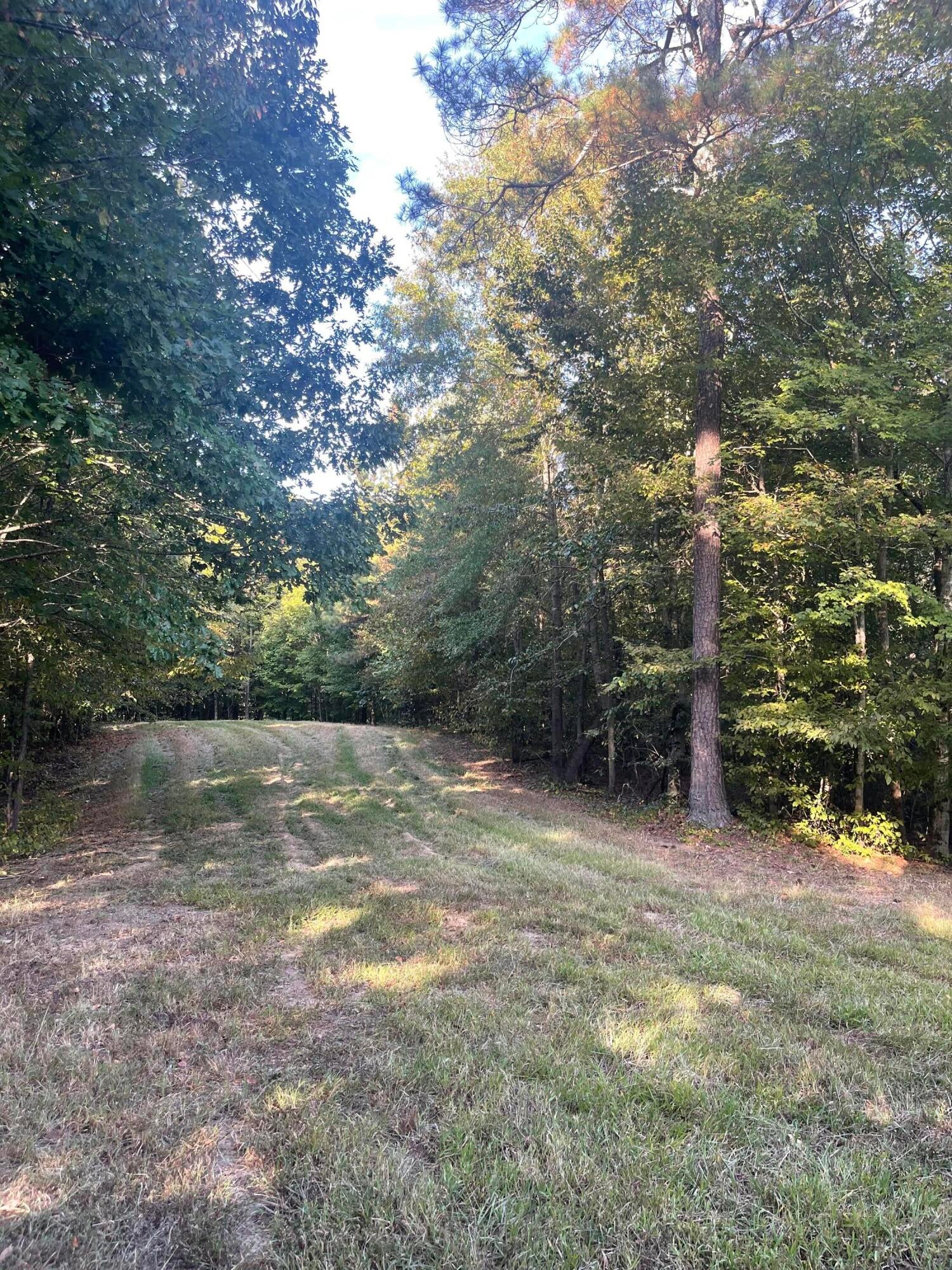 Calhoun, Tennessee, 37309, United States, 4 Bedrooms Bedrooms, ,3 BathroomsBathrooms,Residential,Active,1742062