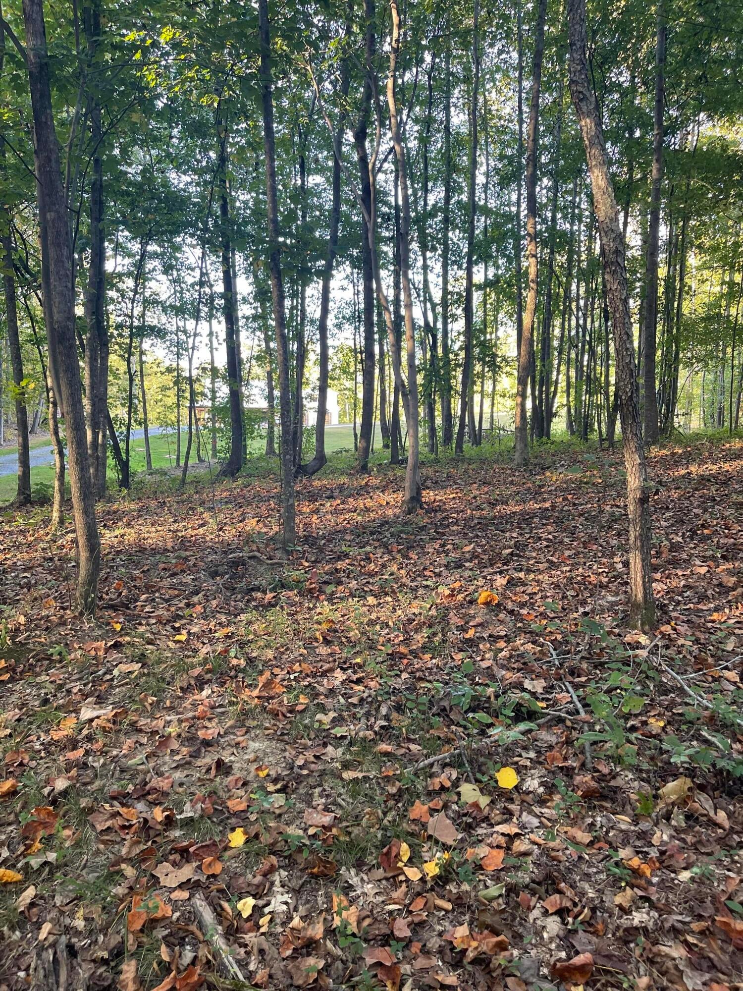 Calhoun, Tennessee, 37309, United States, 4 Bedrooms Bedrooms, ,3 BathroomsBathrooms,Residential,Active,1742062