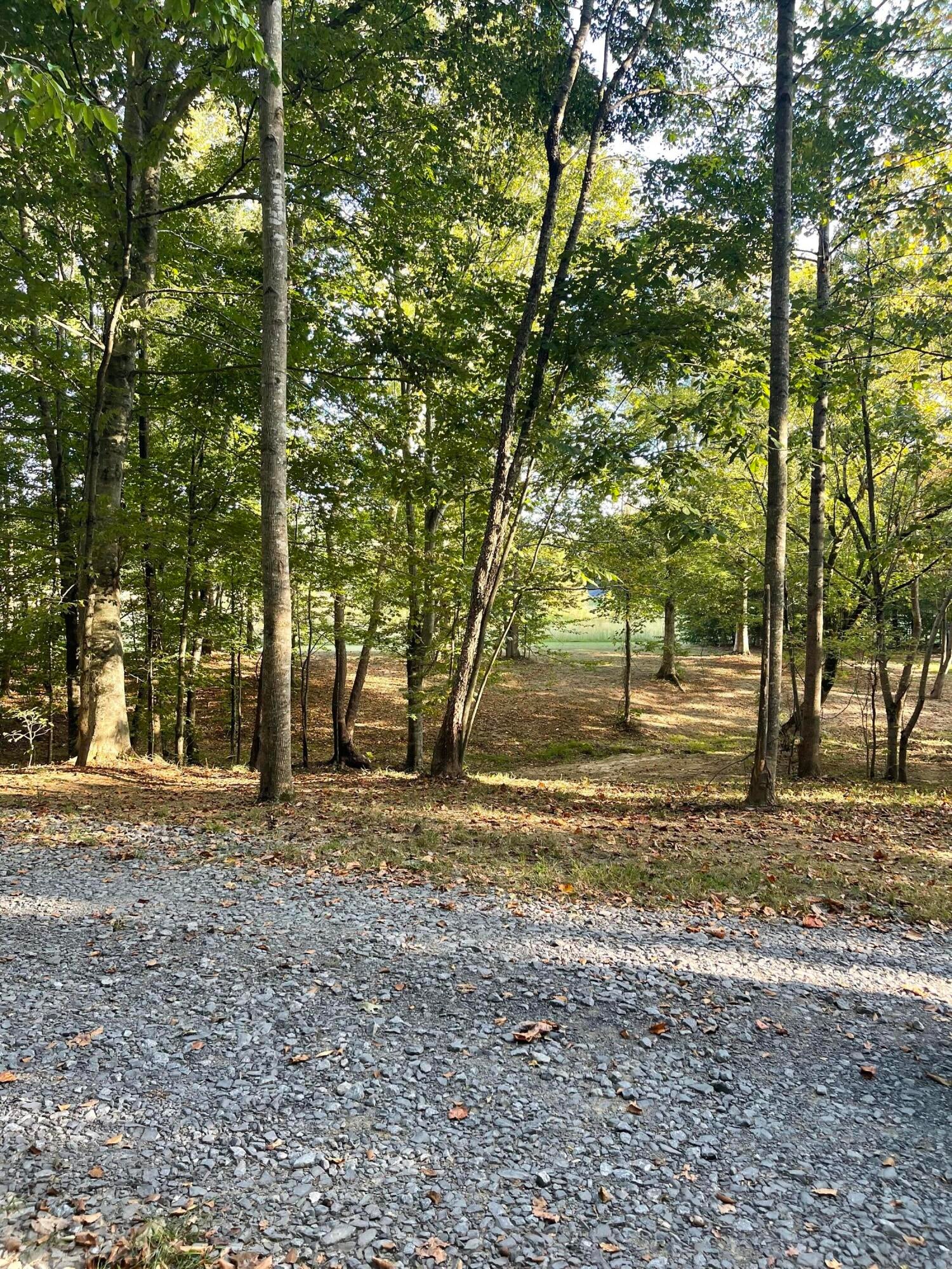 Calhoun, Tennessee, 37309, United States, 4 Bedrooms Bedrooms, ,3 BathroomsBathrooms,Residential,Active,1742062