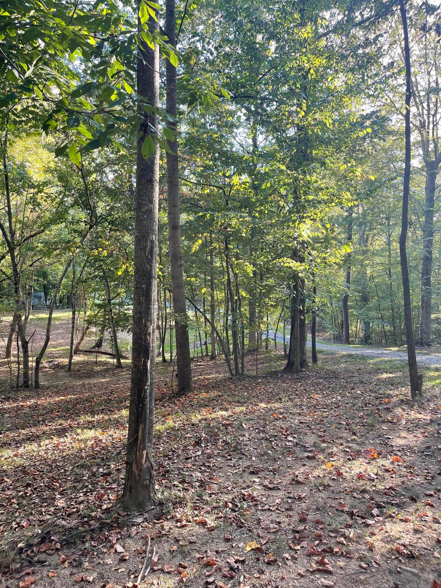 Calhoun, Tennessee, 37309, United States, 4 Bedrooms Bedrooms, ,3 BathroomsBathrooms,Residential,Active,1742062