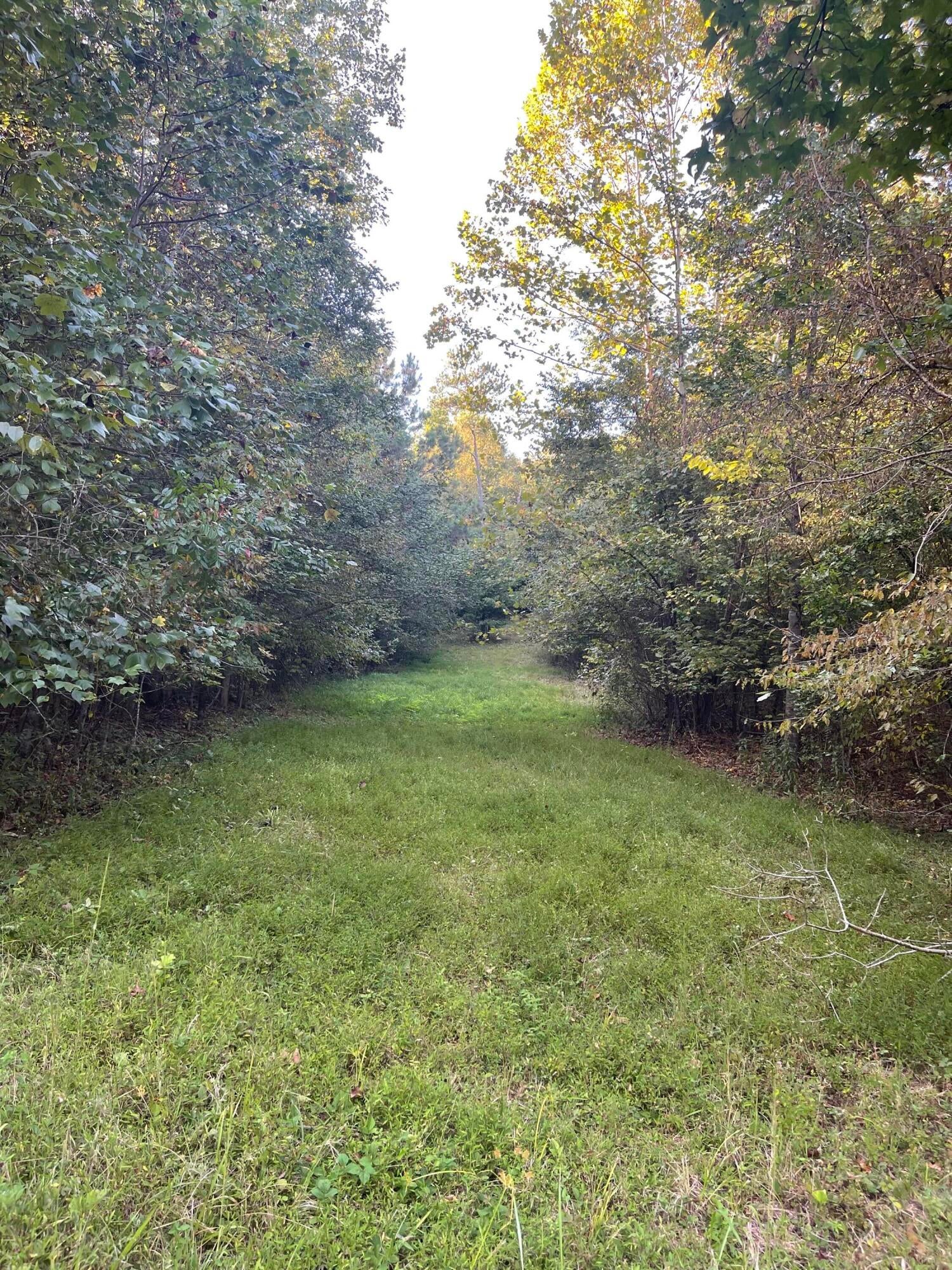 Calhoun, Tennessee, 37309, United States, 4 Bedrooms Bedrooms, ,3 BathroomsBathrooms,Residential,Active,1742062