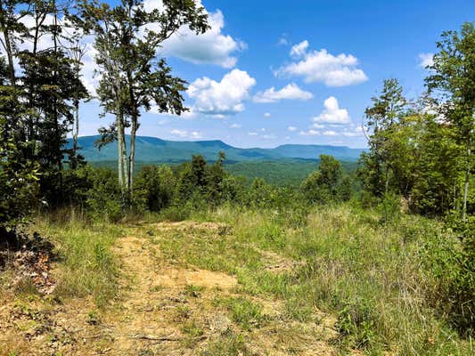 31.54 ACRE CHESTNUT MOUNTAIN ROAD, RELIANCE, TN 37369 - Image 1