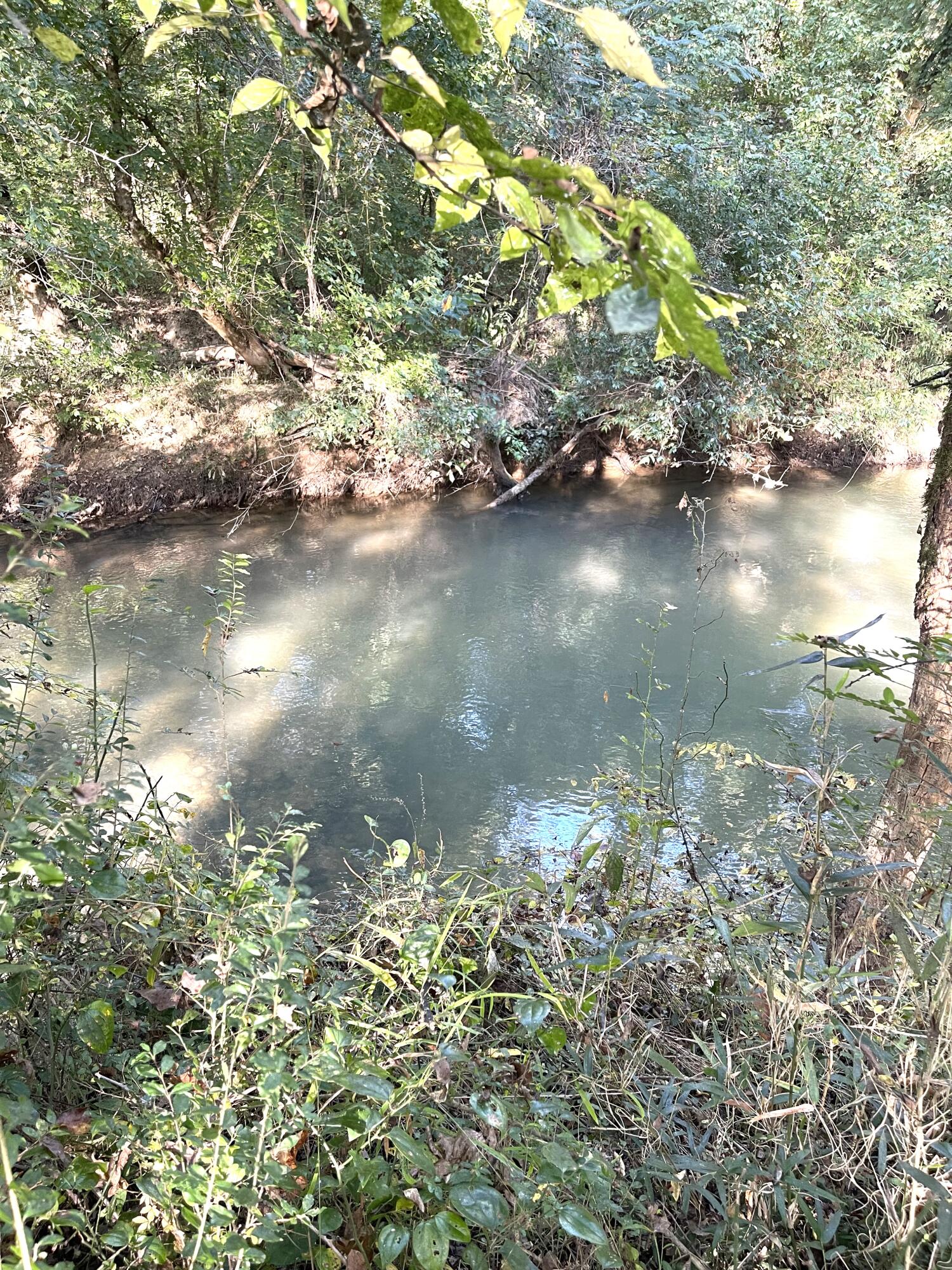 Calhoun, Tennessee, 37309, United States, 4 Bedrooms Bedrooms, ,3 BathroomsBathrooms,Residential,Active,1742062