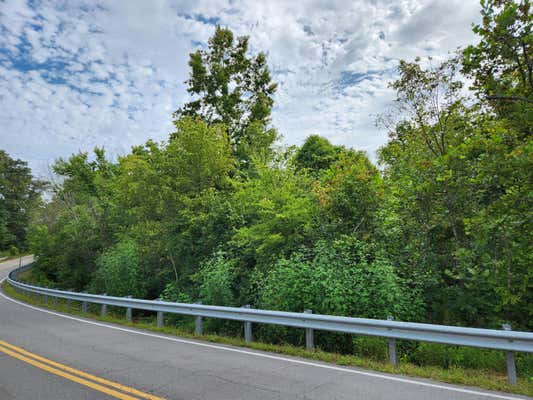 4.57 ACRES RELIANCE ROAD, TELLICO PLAINS, TN 37385 - Image 1