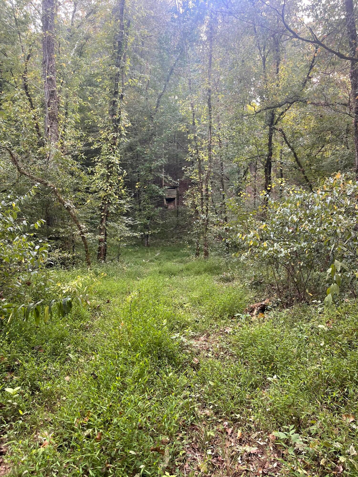 Calhoun, Tennessee, 37309, United States, 4 Bedrooms Bedrooms, ,3 BathroomsBathrooms,Residential,Active,1742062