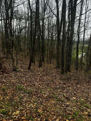 000 COUNTY ROAD 197, ATHENS, TN 37303 - Image 1