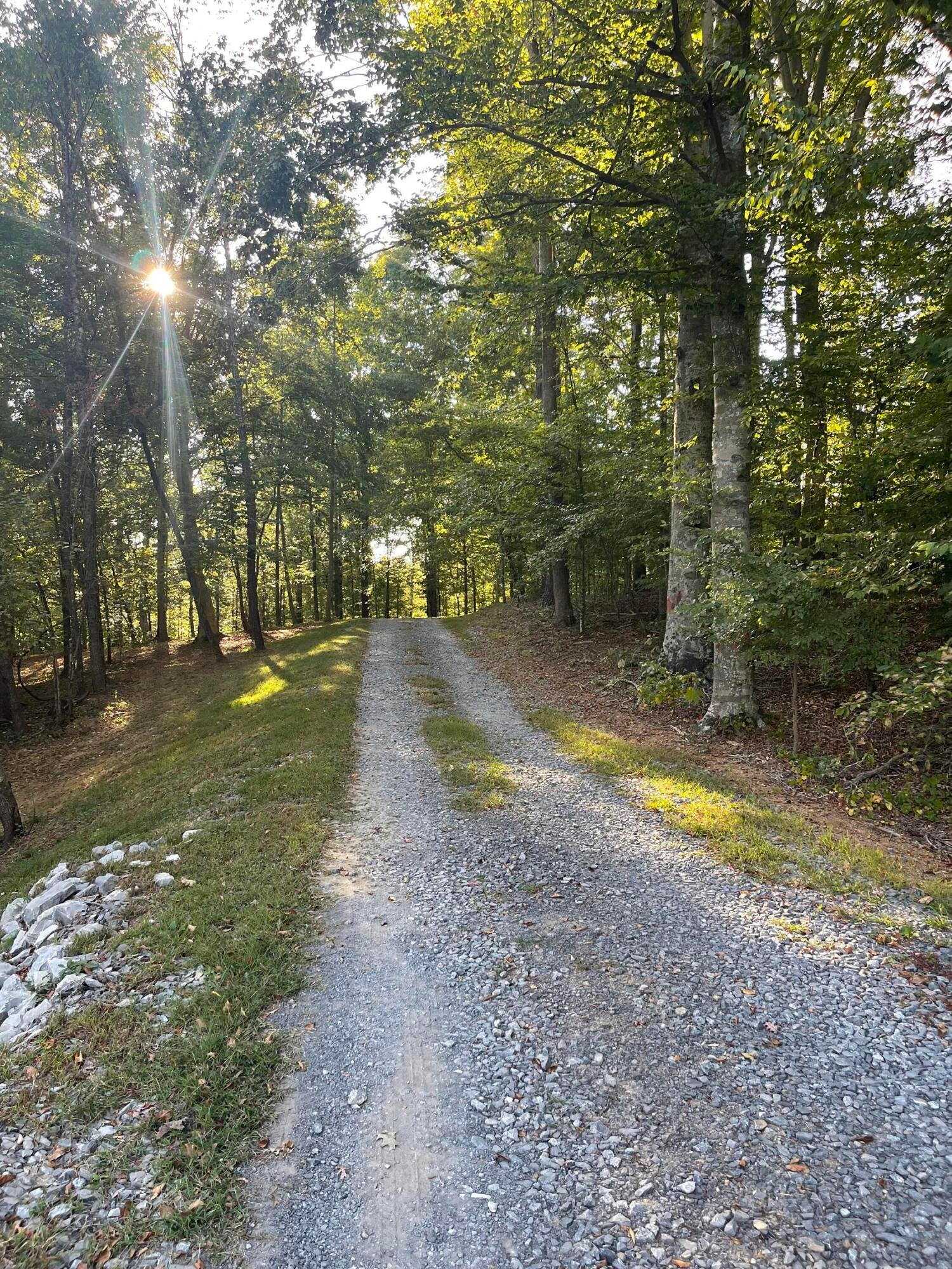 Calhoun, Tennessee, 37309, United States, 4 Bedrooms Bedrooms, ,3 BathroomsBathrooms,Residential,Active,1742062