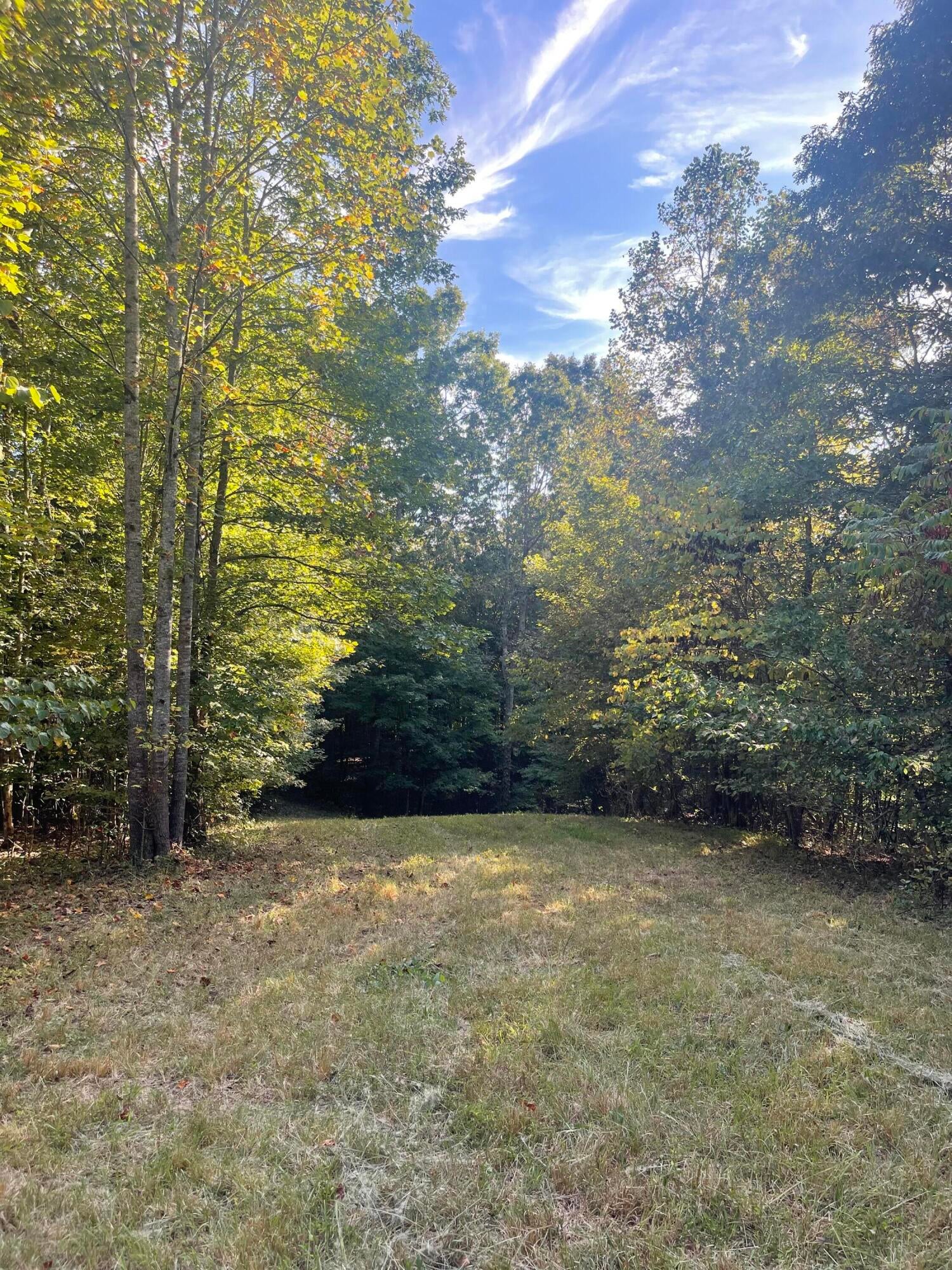 Calhoun, Tennessee, 37309, United States, 4 Bedrooms Bedrooms, ,3 BathroomsBathrooms,Residential,Active,1742062