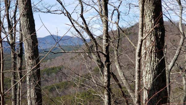 LT 28 SASSAFRAS RIDGE ROAD, COPPERHILL, TN 37317 - Image 1