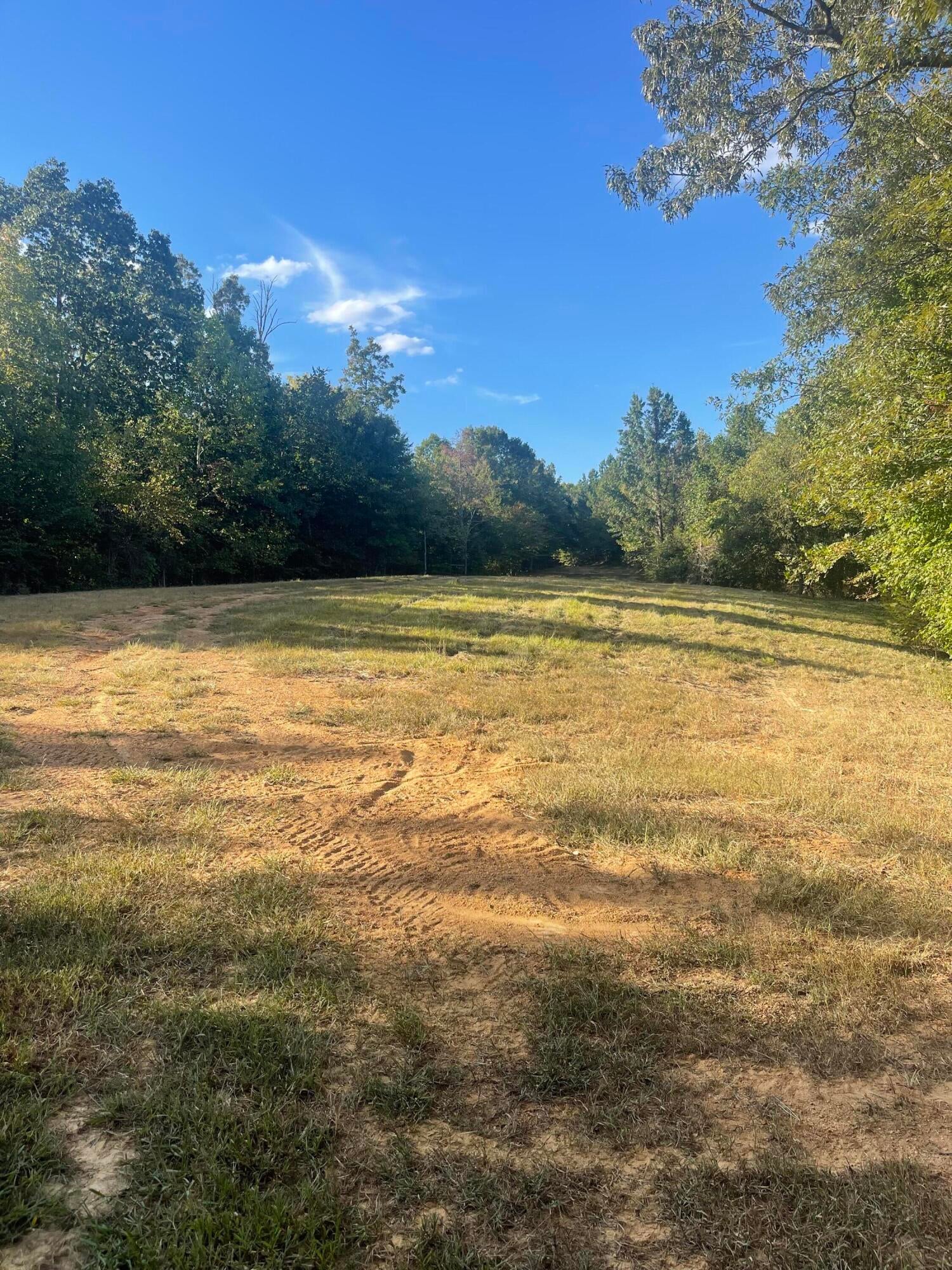 Calhoun, Tennessee, 37309, United States, 4 Bedrooms Bedrooms, ,3 BathroomsBathrooms,Residential,Active,1742062