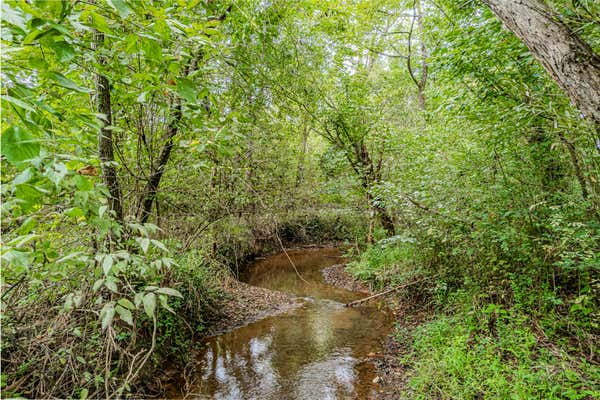 0 COUNTY ROAD 432, ENGLEWOOD, TN 37329, photo 2 of 16