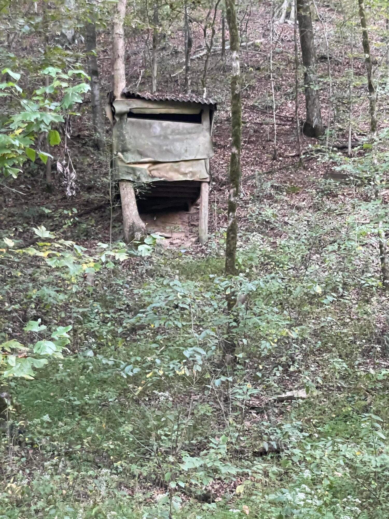 Calhoun, Tennessee, 37309, United States, 4 Bedrooms Bedrooms, ,3 BathroomsBathrooms,Residential,Active,1742062