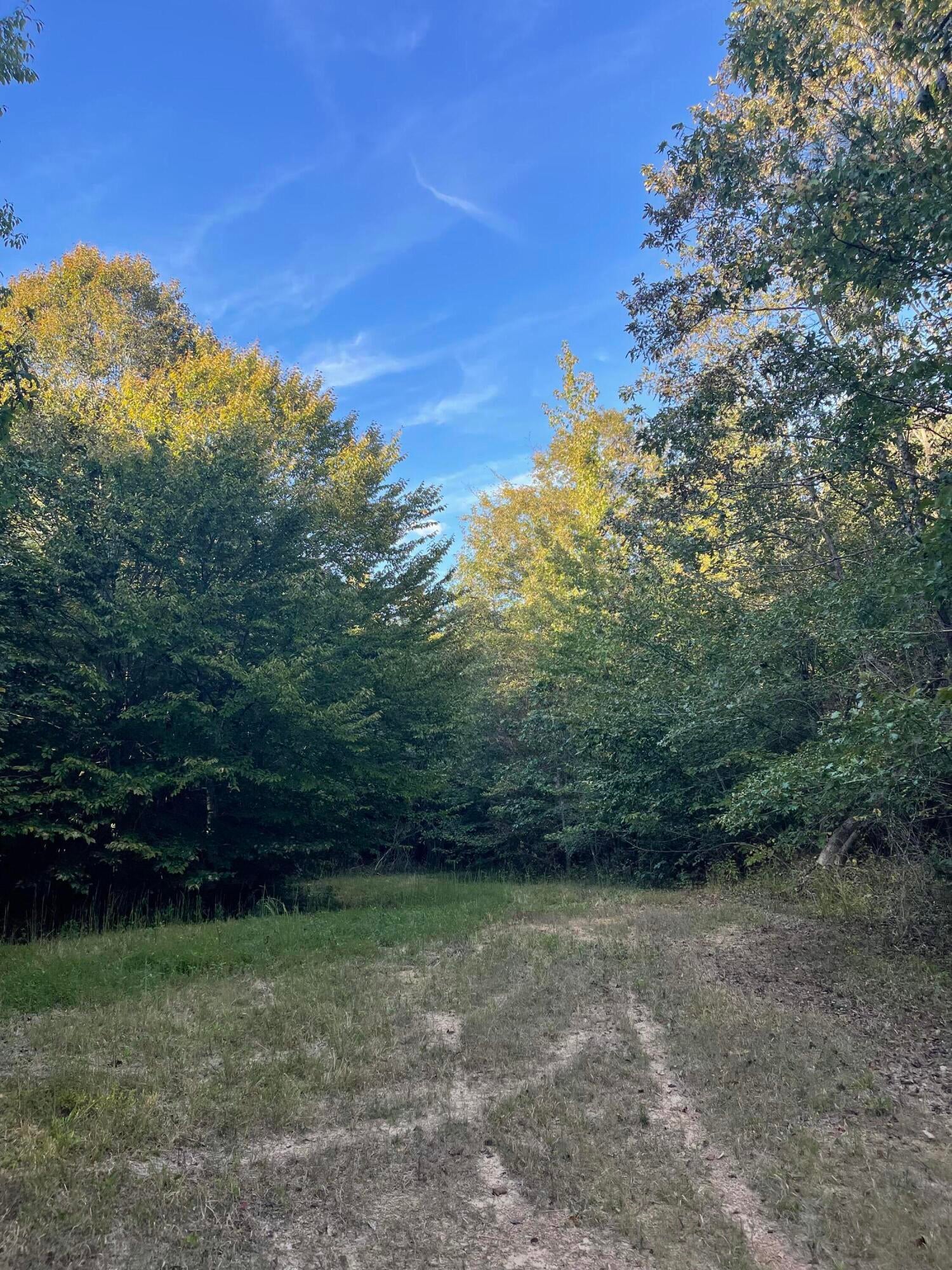 Calhoun, Tennessee, 37309, United States, 4 Bedrooms Bedrooms, ,3 BathroomsBathrooms,Residential,Active,1742062