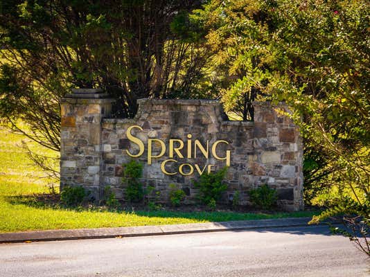 LOT 37 SPRING COVE LANE, SPRING CITY, TN 37381 - Image 1