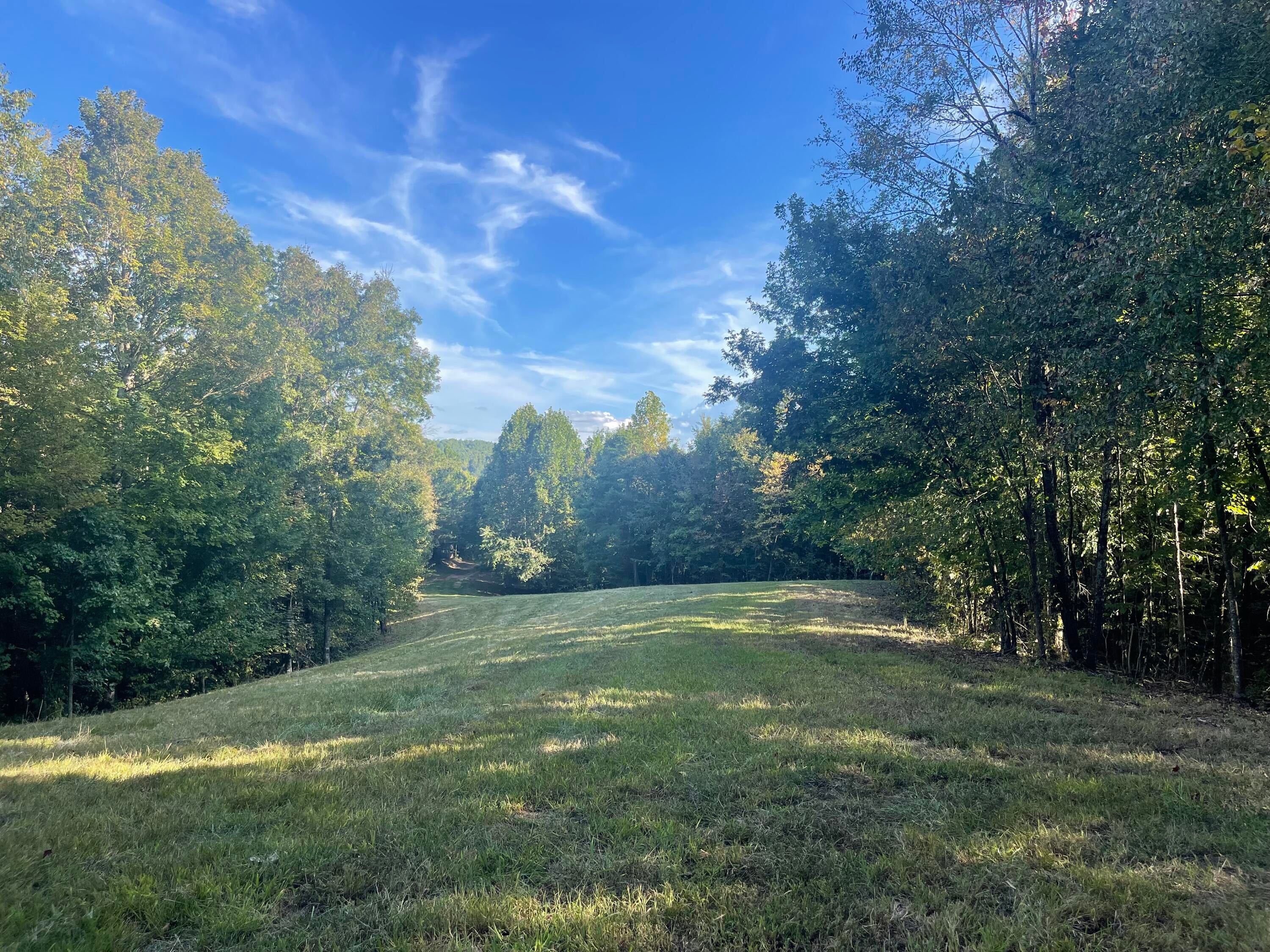 Calhoun, Tennessee, 37309, United States, 4 Bedrooms Bedrooms, ,3 BathroomsBathrooms,Residential,Active,1742062